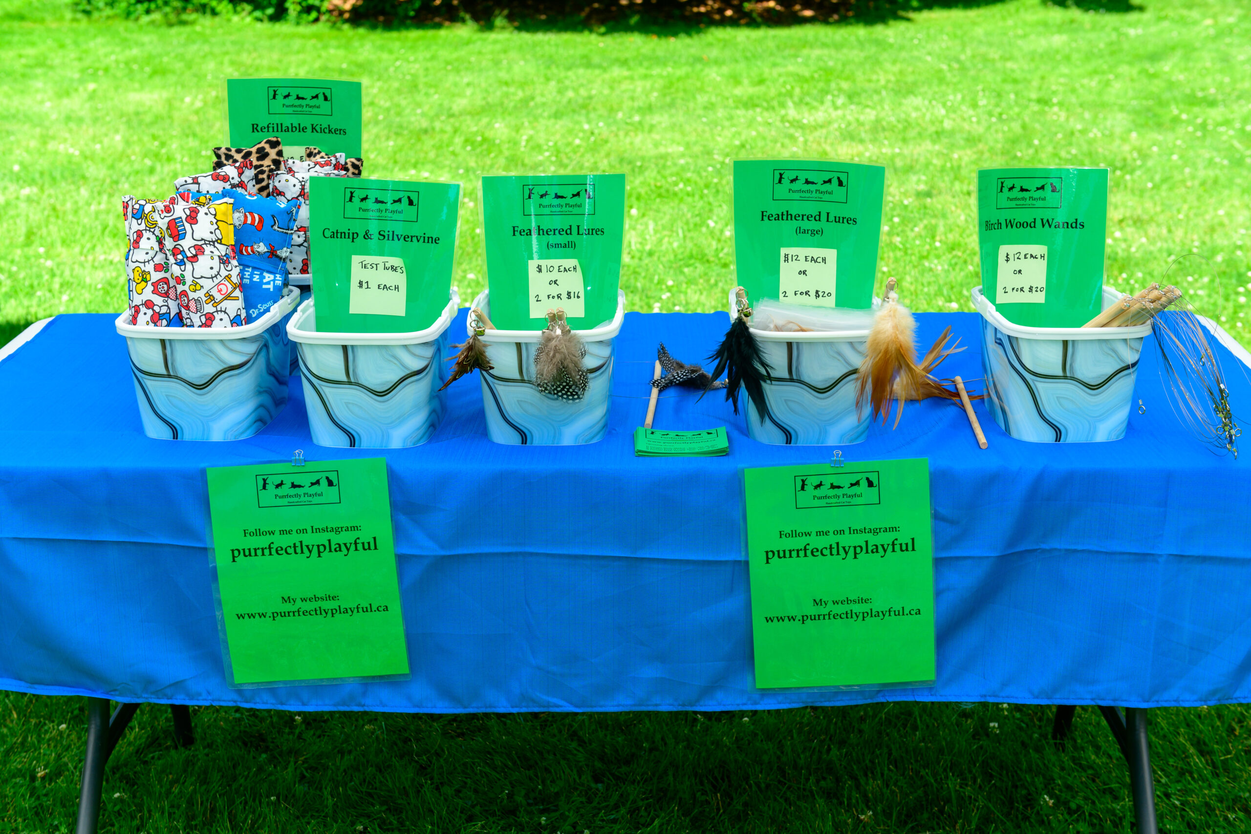 Community Fair Table